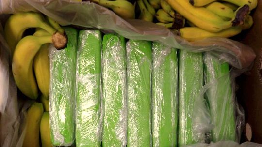 160 kg kokainy w bananach. Narkotyki trafiły do sklepów