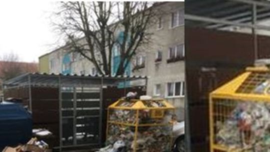 A na śmietnikach stada ptaków i szczurów - pisze czytelnik i przesyła zdjęcia