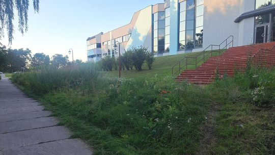 Afera o koszenie trawy przy Centrum Wodnym Laguna. Czy w Gryfinie brakuje gospodarza