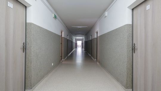 Akademik bez kwarantanny