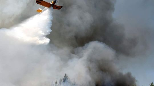 Akcja bezpośredniej ochrony przeciwpożarowej