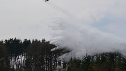 Akcja gaszenia wielkiego pożaru w lesie