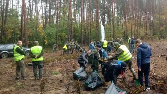 Akcja sadzenia lasu już w najbiższy piątek