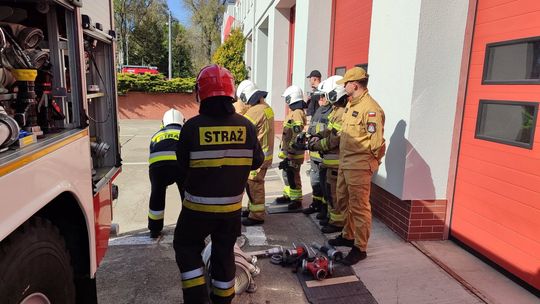 Akcje PSP i OSP w powiecie gryfińskim: Od interwencji na S3 po walkę z szerszeniami i wilkiem na ogródkach