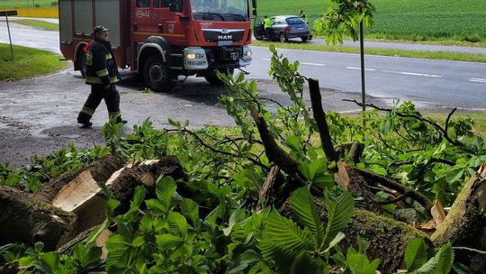 Akcje strażaków, niestety też dotyczące wypadków drogowych