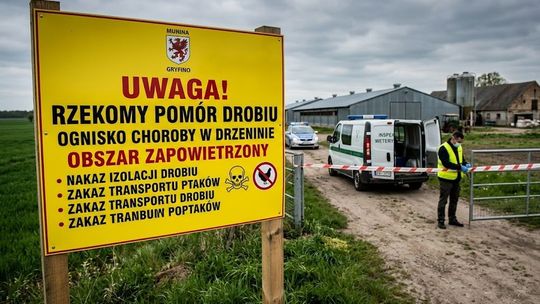 Alarm w gminie Gryfino: Wykryto ognisko rzekomego pomoru drobiu. Sprawdź, czy twój teren objęto restrykcjami