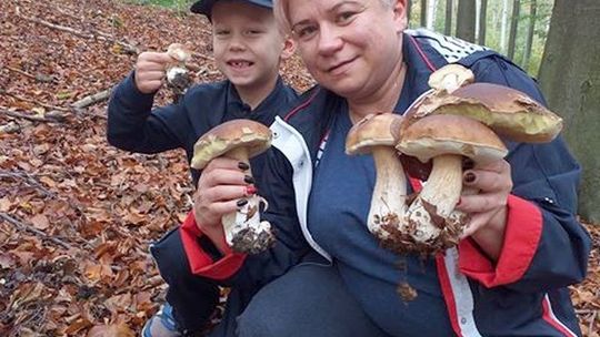 Ale radość! Wspólne grzybobranie