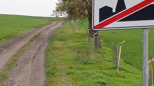 Aleja Gwiazd Polskich Sadów na południu powiatu