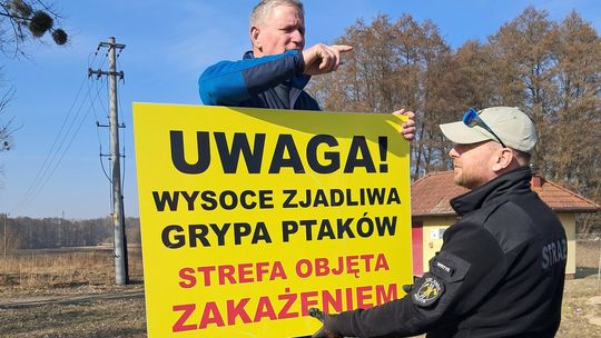 Alert w gminie Gryfino! Wysoce zjadliwa grypa ptaków