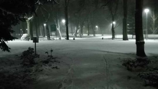 Apel do burmistrza w sprawie parku