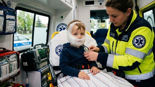 Atak psa w powiecie gryfińskim. 3-letnie dziecko ugryzione w twarz i interwencja służb
