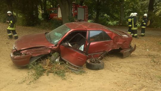 Auto uderzyło w drzewo