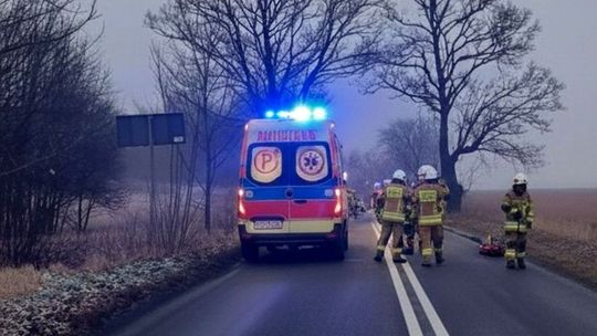 Auto uderzyło w drzewo. Ucierpiało niemowlę i jego rodzice
