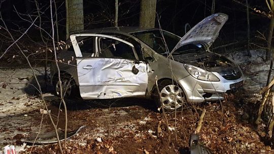 Auto wypadło z drogi i zatrzymało się w lesie
