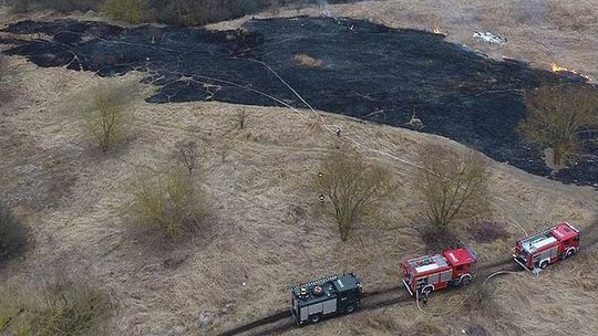 Aż pięć jednostek gasiło łąki i trzcinowiska