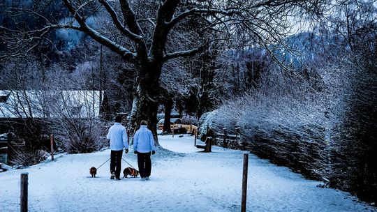 Bądź modny na zimowych spacerach. Sprawdź, w co się ubrać
