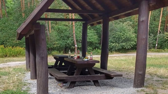 Głośno w lesie. Śmieci po imprezie na mandat, a nawet grzywnę