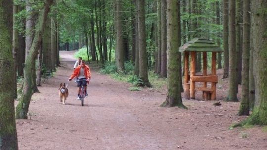 Będą kamery w lesie