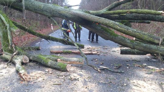 Będą leciały drzewa i dachy