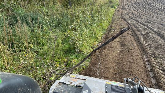 BEKAP zmienia nieużytki w działki pod inwestycje, domy i ogrody. Zamów mulczowanie terenu