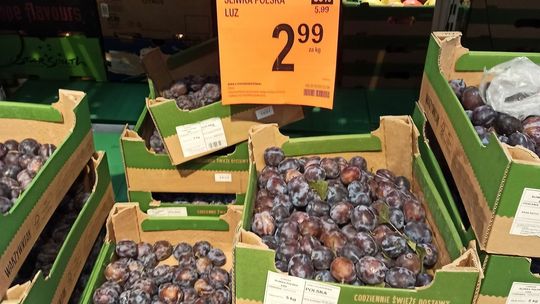 „Błąd cenowy” na promocjach w Biedronce