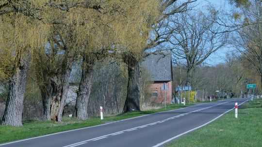 Blue Velo z Gryfina, Bań i Trzcińska  wydłuży się w tę stronę