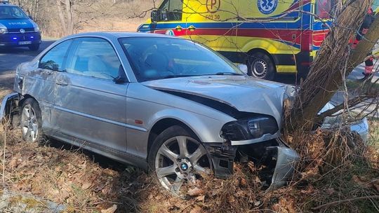 BMW i bezsensowna brawury. Finał jazdy na drzewie BMW i bezsensowna brawury. Finał jazdy na drzewie