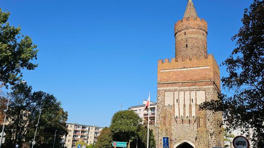 Brama Bańska w Gryfinie znów niszczeje: Korzenie krzewów niszczą bezcenny XIV-wieczny zabytek