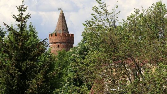 Brama i mury porastają drzewami