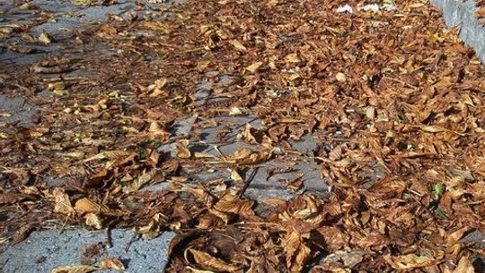 Brudno jest w mieście