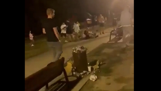 Bójka na tulipany na miejskiej plaży. Świadkowie nakręcili film i sprawę bada policja
