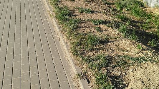 Burmistrz nie dotrzymał słowa?