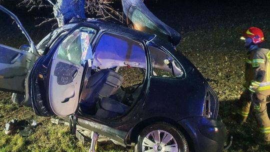 Była tak pijana, że uderzyła w drzewo