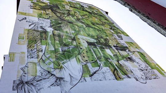 Cały milion przeznaczyli na ekomurale