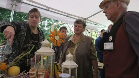 CeDynia próbuje promować dynię