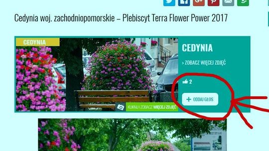 Cedynia prosi o głosy w konkursie Terra Flower Power 