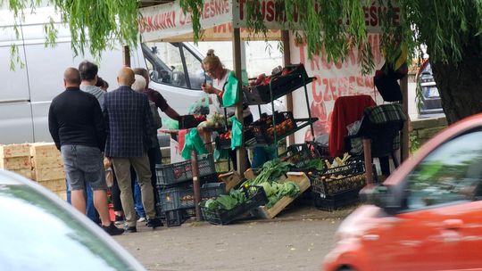 Ceny truskawek i czereśni w Gryfinie idą w dół! Ile zapłacimy za sezonowe przysmaki?