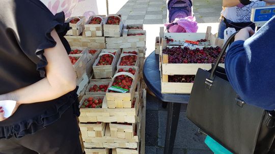 Ceny truskawek. Trzeba sięgnąć głębiej do kieszeni