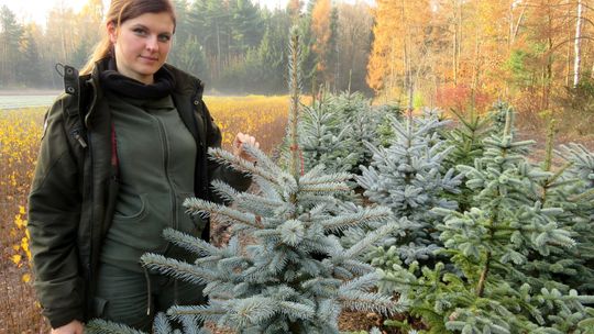 Certyfikat dla naszych leśników za pogodzenie biznesu i środowiska naturalnego