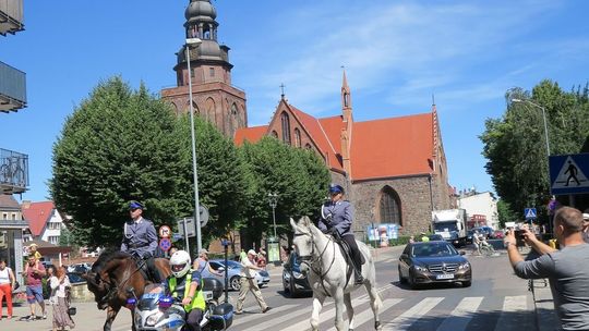 Chcą podziękować koniom. Dziś obchodzimy Światowy Dzień Zwierząt