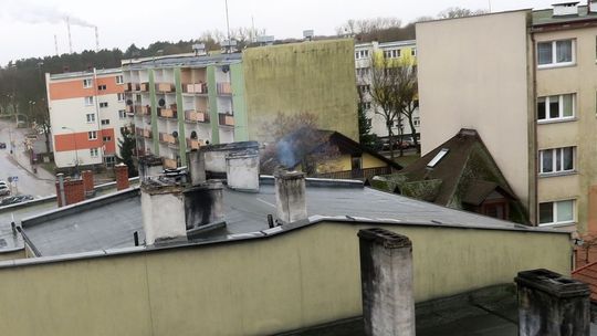 Chcą walczyć ze smogiem. Pomóc mają m.in. Kawka i Ryś