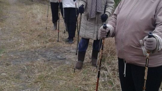 Chodząc z kijkami fotografują