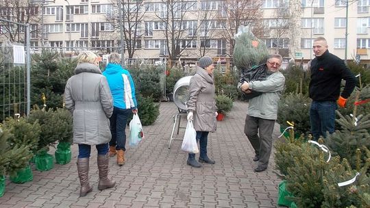 Choinkowo na placu Barnima