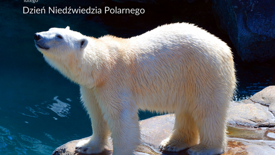 Chrońmy to, co może zaraz zniknąć Chrońmy to, co może zaraz zniknąć