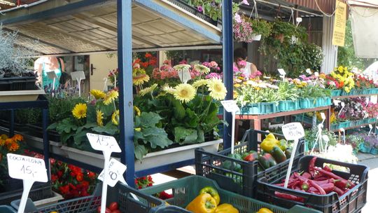 Co, gdzie i po ile, czyli owocowo-warzywna porównywarka cen