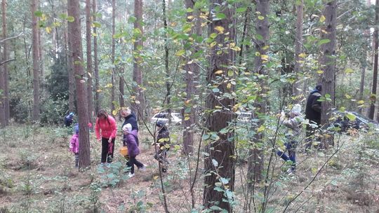 Co robiła 3-latka i nastolatkowie w lesie