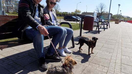 Co robiliśmy w drugi dzień świąt - fotorelacja