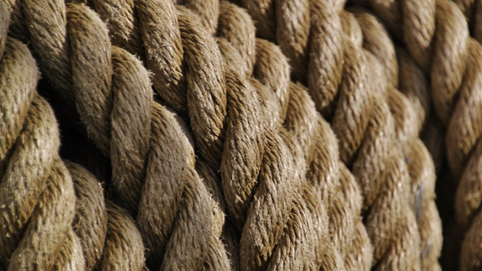 Co Warto Wiedzieć Przed Zakupem liny na metry? Opinie Klientów mówią same za siebie!