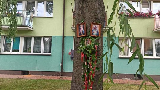 Tak teraz wygląda miejsce uważane przez wielu za cud [ZDJĘCIA]