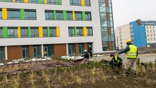Czekać będzie na przeszczep w Przylądku Nadziei
